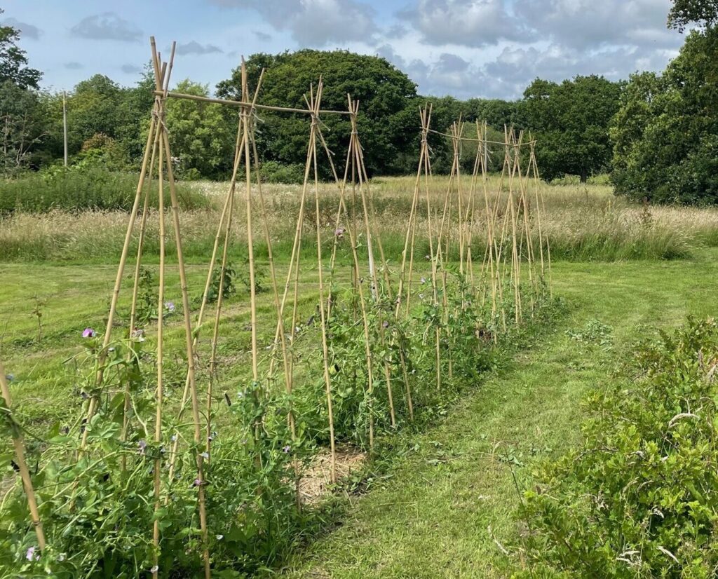 kitchen garden workshop sussex