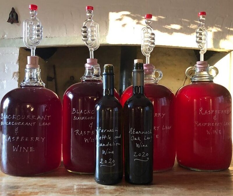 self sufficiency courses