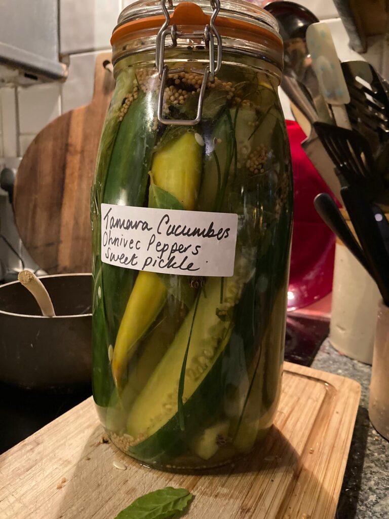 pickling and fermentation lessons sussex