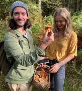 learn how to forage edible mushrooms
